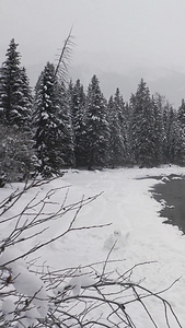 航拍新疆冬季喀纳斯航拍河谷河流视频