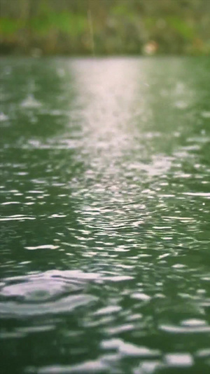 下雨雨滴升格特写54秒视频