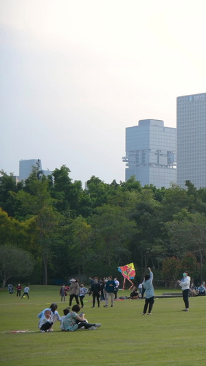 深圳莲花山公园风筝广场38秒视频