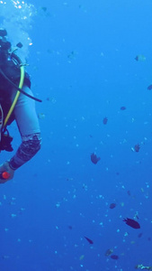 海底实拍潜水员探秘海底世界视频