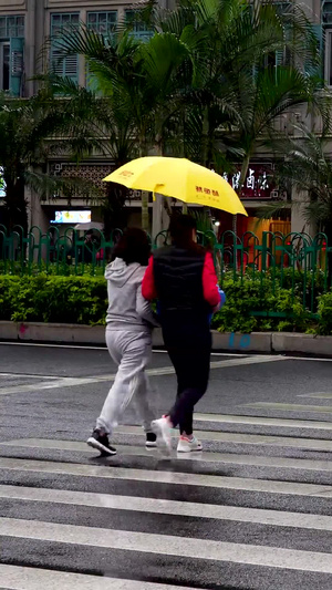 下雨天撑伞过马路的行人合集163秒视频