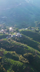 大山里的乡村视频