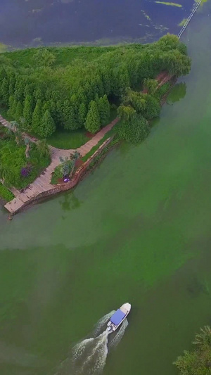 城市湖泊雨林中航行的快艇航拍24秒视频