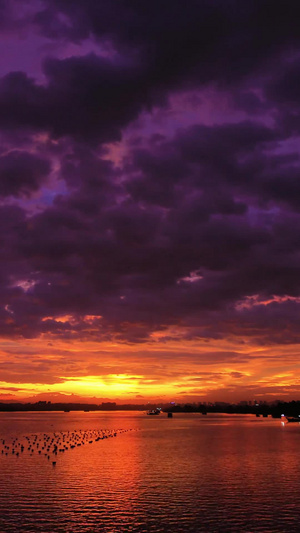 恶劣天气来临前的夕阳和紫红云朵17秒视频