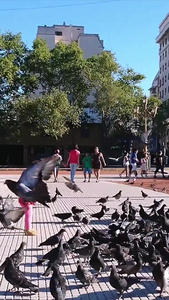 外国街头孩子嬉戏广场鸽慢镜头视频