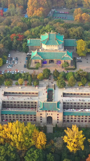 武汉大学樱花城堡航拍高清视频13秒视频