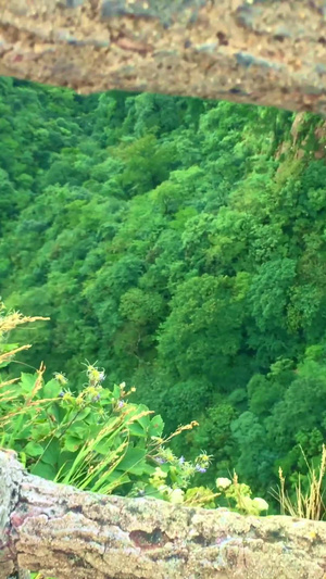 登上黄山一览众山小16秒视频