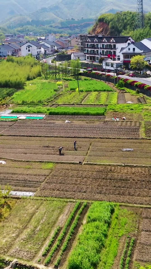 航拍田野里劳作耕种的农民76秒视频