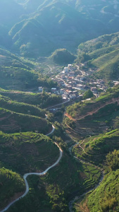 大山里的乡村视频