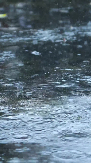 下雨雨水落地15秒视频