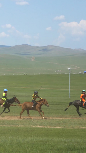蒙古赛马比赛11秒视频