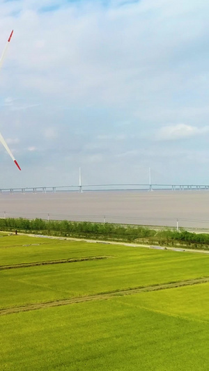 海边稻田风车航拍风景39秒视频