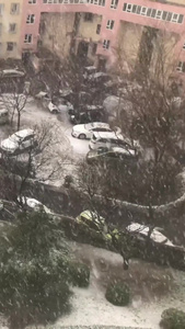 2019北京大雪雪景视频