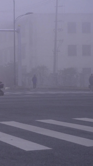 雾霾天气交通行人电动车108秒视频