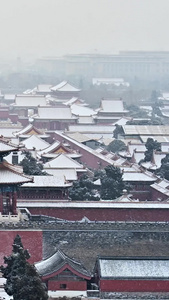 北京故宫博物院雪景视频