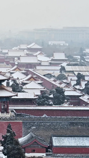 北京故宫博物院雪景126秒视频