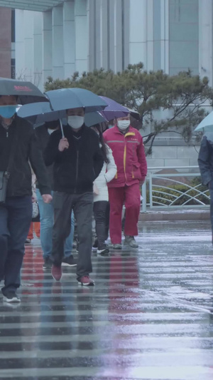 实拍雨天的人群过马路脚步43秒视频