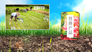 农业广告促销包装宣传片模板30秒视频