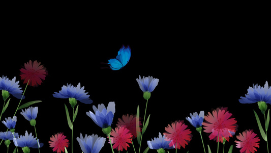 蝴蝶花丛飞舞透明通道动态背景视频