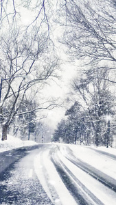 冬季雪景视频素材浪漫雪景视频
