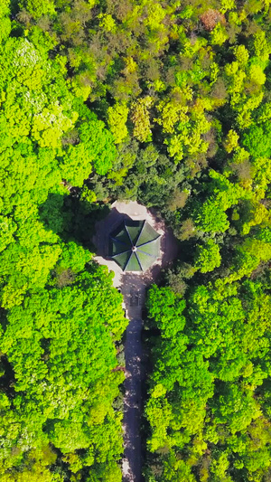 航拍南京市5A风景区中山陵灵谷寺景区风景名胜54秒视频