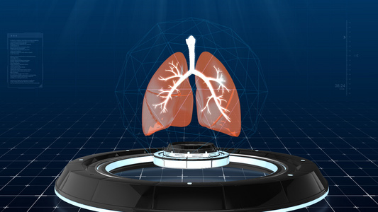 科技感肺部展示视频视频