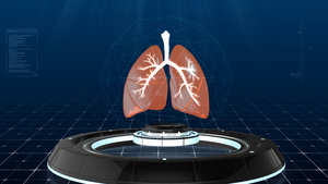 科技感肺部展示视频18秒视频