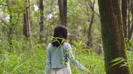 树林中行走的女孩背影视频