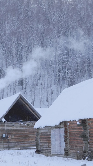 冬季东北新疆禾木村炊烟袅袅小木屋28秒视频