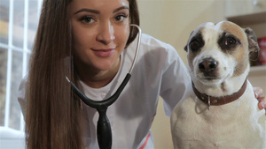 女兽医和小狗狗的视频8秒视频