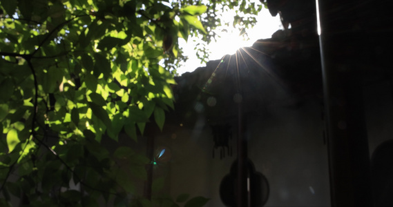江南园林古典建筑阳光透过树叶视频