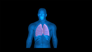 4K医学人体肺部心脏动画带透明度20秒视频