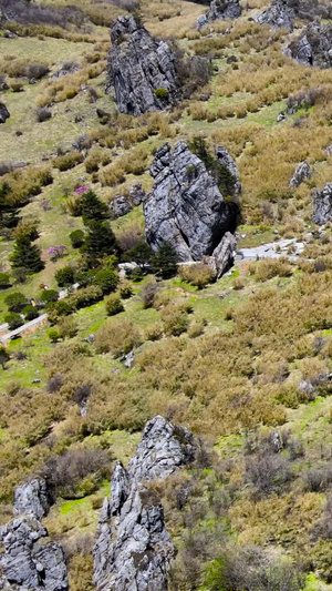 神农架5A景区林区板壁岩景点航拍合集5A风景区74秒视频