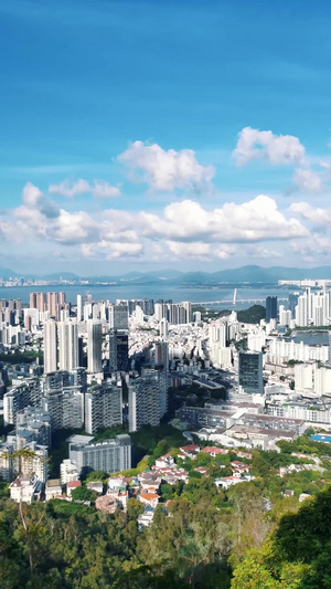 沿海城市楼群建筑风景延时竖屏城市风景16秒视频