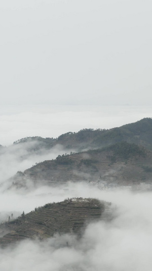 航拍云雾环绕的大山合集山水画71秒视频