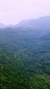 山顶上的梯田天际线视频