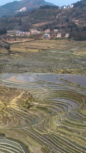 航拍宏大壮观的元阳梯田箐口景区视频旅游目的地83秒视频