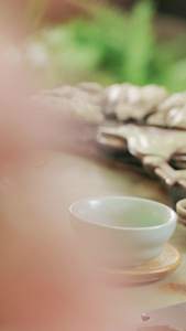 茶海瓷器杯具分茶倒茶茶文化视频