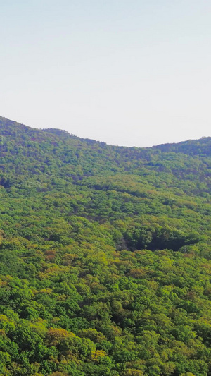 航拍南京5A风景区中山陵灵谷寺景区灵谷寺灵谷塔无人机30秒视频