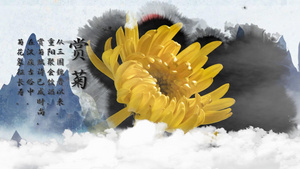 传统节日重阳节中国风宣传57秒视频