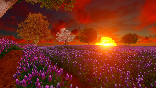 红色天空和大太阳的紫色草地视频