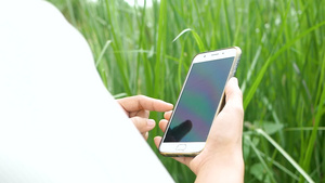 近距离的年轻女性农夫 检查玉米田边的兽医草刀 手握智能手机23秒视频