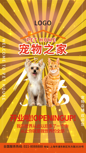黄色宠物之家宠物店视频海报15秒视频