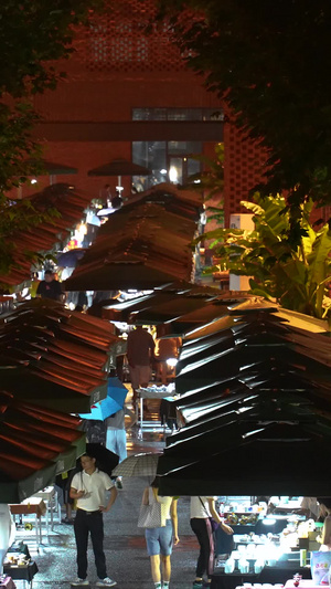 城市雨天夜晚打着伞集市逛街的行人素材雨天素材63秒视频