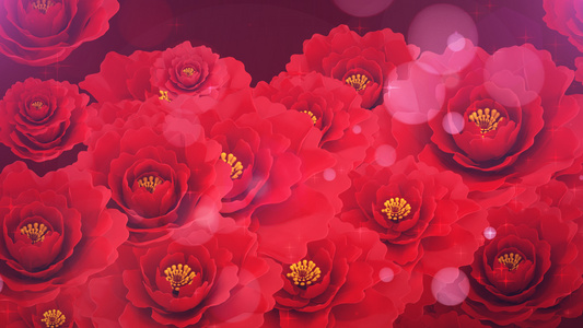 温馨唯美玫瑰花背景视频素材视频