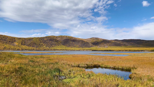 内蒙古草原湿地秋季景色实拍视频视频
