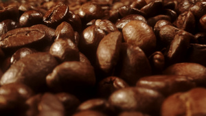 咖啡豆22秒视频