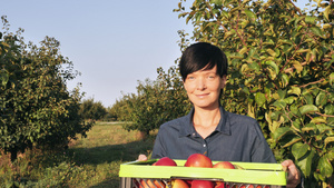 女性水果种植户7秒视频