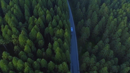 航拍森林中行驶车辆视频