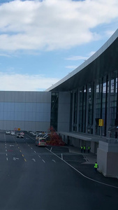 浦东机场停机坪民航客机实拍视频城市交通视频